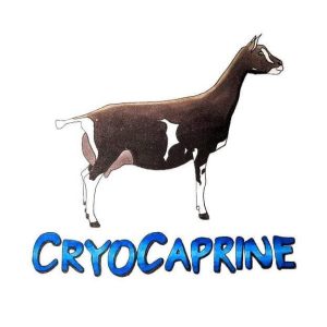 CryoCaprine, Meridan, KS, Cryopreservation of semen in small ruminants.